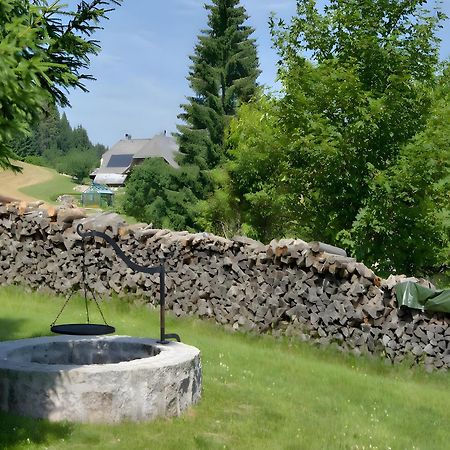 Gasthaus-Pension Zum Loewen Графенхаузен Экстерьер фото