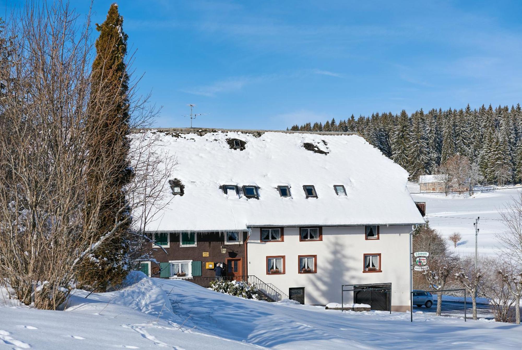 Gasthaus-Pension Zum Loewen Графенхаузен Экстерьер фото