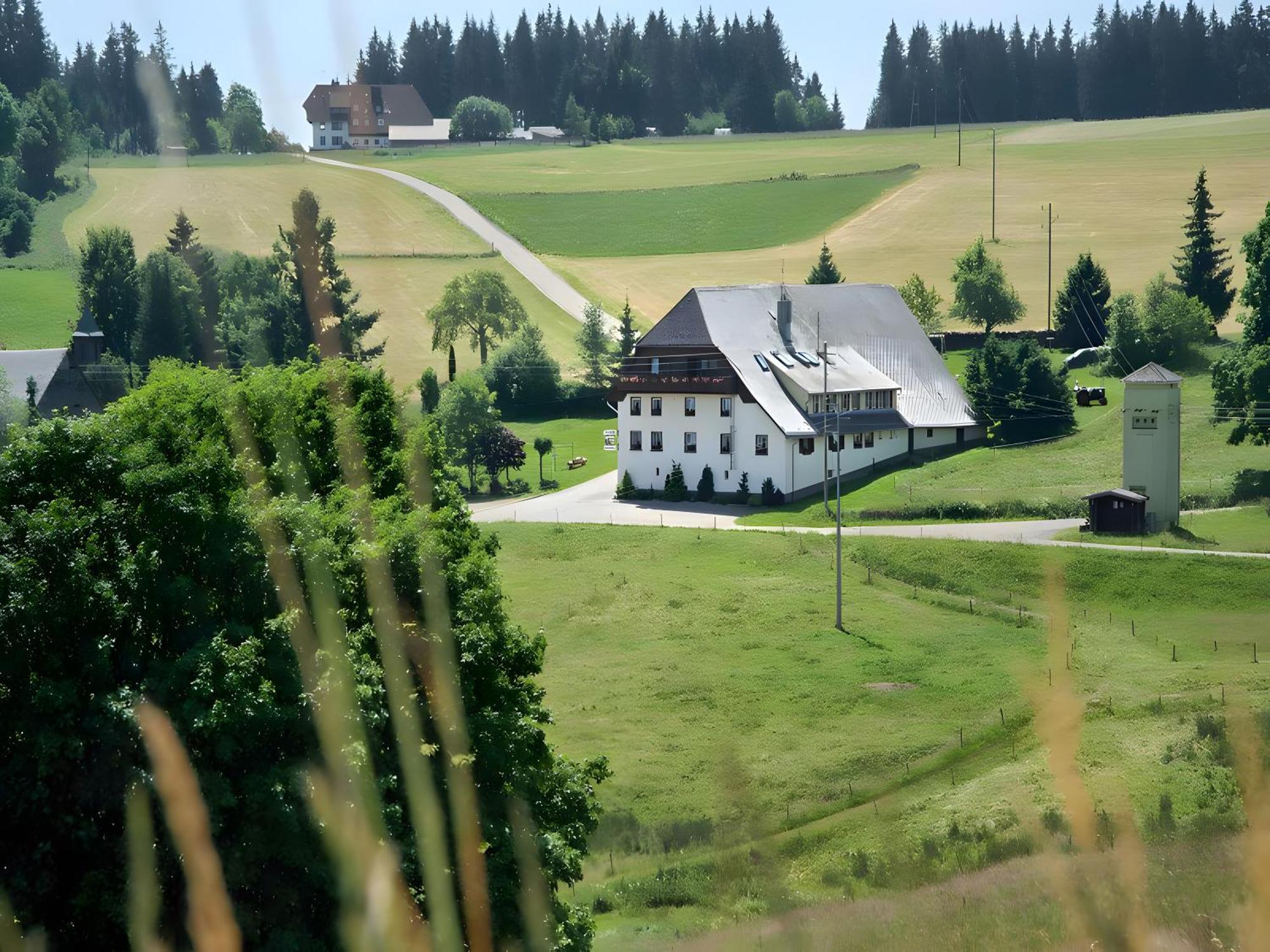 Gasthaus-Pension Zum Loewen Графенхаузен Экстерьер фото