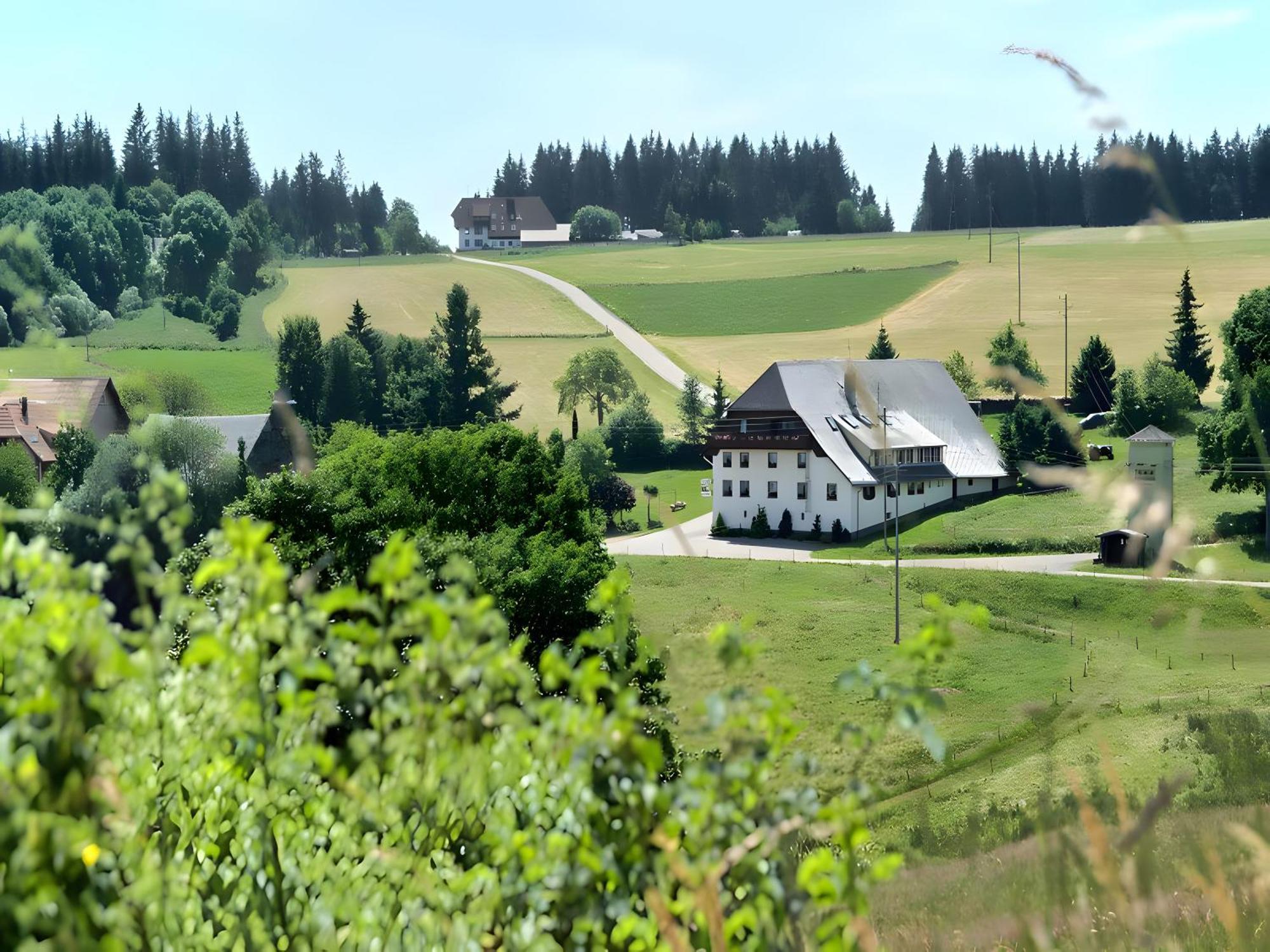 Gasthaus-Pension Zum Loewen Графенхаузен Экстерьер фото