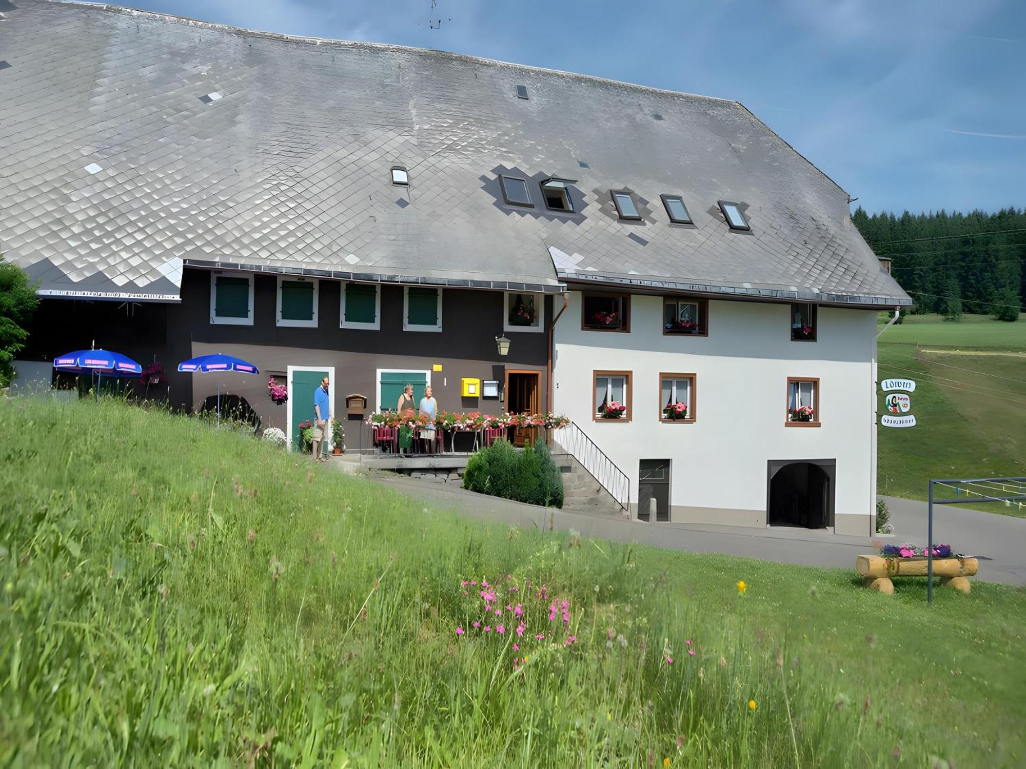 Gasthaus-Pension Zum Loewen Графенхаузен Экстерьер фото