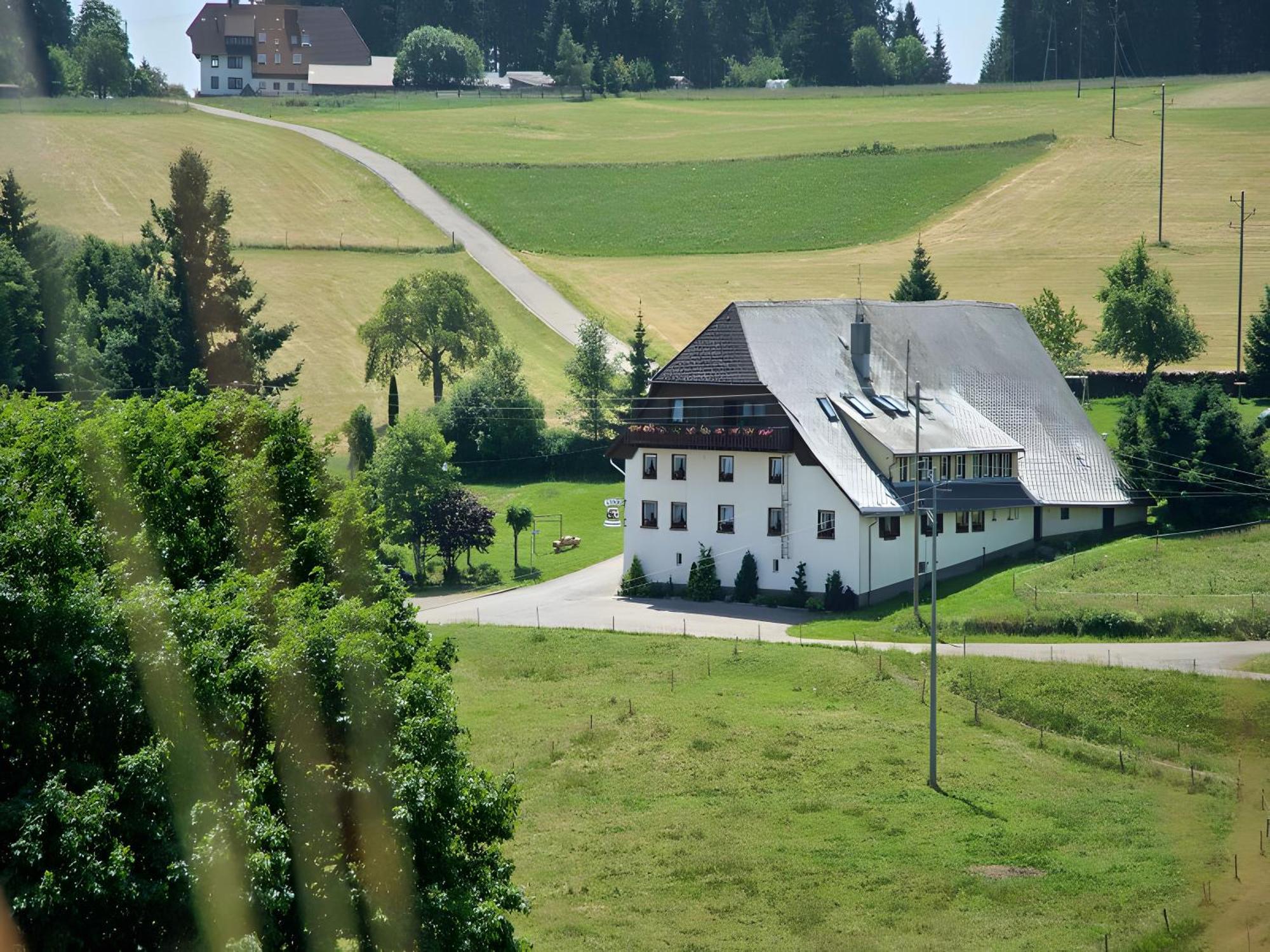 Gasthaus-Pension Zum Loewen Графенхаузен Экстерьер фото